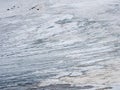 Texture of an ancient glacier. Snow pattern. Minimal natural backdrop of icy wall with cracks and scratches of ice from glacier Royalty Free Stock Photo