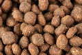 Texture of animal feed dogs or cats Royalty Free Stock Photo