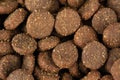 Texture of animal feed dogs or cats Royalty Free Stock Photo