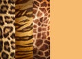 Texture of animal skins Royalty Free Stock Photo