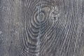 Texture of antique tree ring as wooden background Royalty Free Stock Photo