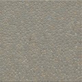 Texture appears rough typical of cobblestone or a flagstone path and Royalty Free Stock Photo
