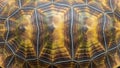 Texture appears smooth with slight ridges, and some scutes have a bumpy Royalty Free Stock Photo
