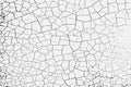 Texture of arid ground cracks and splashes of stains, black and white texture background EPS vector Royalty Free Stock Photo