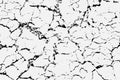 Texture of arid ground cracks and splashes of stains, black and white texture background EPS vector Royalty Free Stock Photo