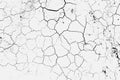 Texture of arid ground cracks and splashes of stains, black and white texture background EPS vector Royalty Free Stock Photo