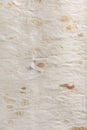 Texture a armenian lavash closeup Royalty Free Stock Photo