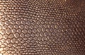 Texture of an artificial brown snake skin Royalty Free Stock Photo