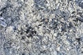 Texture of the ashes. Natural gray background of burnt wood. Burnt coals Royalty Free Stock Photo