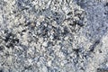 Texture of the ashes. Natural gray background of burnt wood. Burnt coals Royalty Free Stock Photo