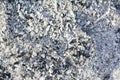 Texture of the ashes. Natural gray background of burnt wood. Burnt coals Royalty Free Stock Photo