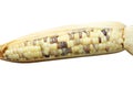 Texture asia corn
