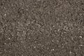 Texture asphalt grey Royalty Free Stock Photo