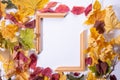 texture from autumn leaves and wooden frame. Autumn composition Royalty Free Stock Photo