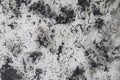 Texture Background Abstract point grey, white, dark black grunge. Cement wall pattern or wall fence