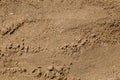 Texture, background, abstraction. sand, surface Royalty Free Stock Photo