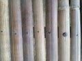 Texture background of bamboo sticks on nails Royalty Free Stock Photo