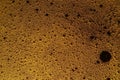 Beer foam texture. Bubbles irradiated with light. Roughened surface Royalty Free Stock Photo