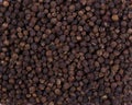 Texture background. Black pepper seeds Royalty Free Stock Photo