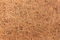 Texture, background of brown straw is bird nest