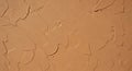 Texture Background Brown Stucco Wall with Decorative Plaster Royalty Free Stock Photo