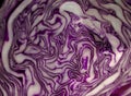 Texture background, Close up nature lilac cabbage top view