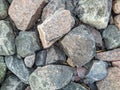 texture and background of colored stones on the river bank in the daytime Royalty Free Stock Photo