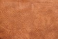 Texture of background for designer, pattern of vintage genuine leather surface. Brown. For background , backdrop