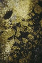 Texture background of a dragon\'s blood jasper semi-precious stone