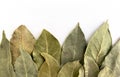 Texture, background. Dry bay leaf Royalty Free Stock Photo