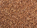 Texture background. dry coriander seeds Royalty Free Stock Photo