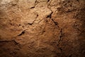 Texture background - dry cracked brown earth Royalty Free Stock Photo