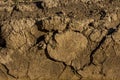 Texture background - dry cracked brown earth Royalty Free Stock Photo