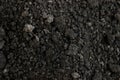 Background, texture, black earth, worm marks Royalty Free Stock Photo