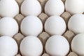 Texture background even rows of white chicken eggs in a carton box Royalty Free Stock Photo