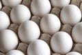 Texture background even rows of white chicken eggs in a carton box Royalty Free Stock Photo