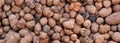 Texture background from expanded clay. Banner. Royalty Free Stock Photo