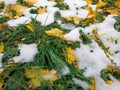 Texture background, first snow in park in autumn, autumn green grass leaves background. View from above. White snow. Royalty Free Stock Photo