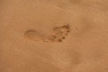 Texture background footprints of human feet on the sand on the sandy beach. Royalty Free Stock Photo