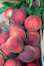 Texture background of fresh organic sweet red ripe peaches at the street market Royalty Free Stock Photo