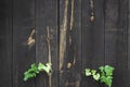 Texture background grunge. Old floor wooden pattern. Timber plank surface wall for vintage grunge wallpaper. Dark grain panel Royalty Free Stock Photo