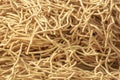 Texture background of home made noodle Royalty Free Stock Photo