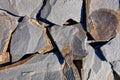 Large slabs of rocky gray sandstone with fractures and rust stains in bright sunlight