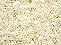 Texture and background of natural loofah for scrubbing and spa Royalty Free Stock Photo