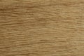 Texture background natural wood stripe light wood oak pine