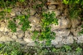 Texture background, old stone wall in an unusual combination.