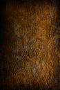 Texture background - old vintage stained leather Royalty Free Stock Photo