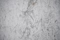 Texture and background of old wooden painted wall.the dirty white slab of pressed wood Royalty Free Stock Photo