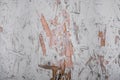 Texture and background of old wooden painted wall.the dirty white slab of pressed wood Royalty Free Stock Photo