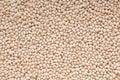 Texture background is out of white beans, heap of beans Royalty Free Stock Photo